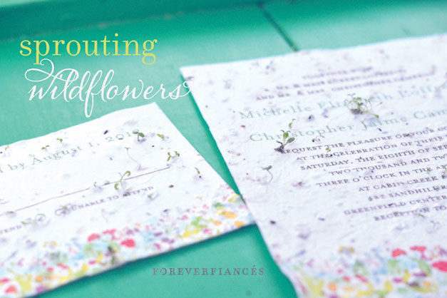 Green Cards